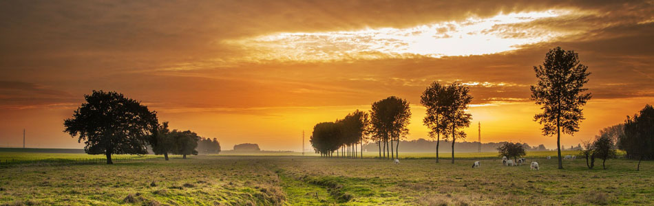 免费ddos在线攻击测试网站